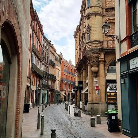 Et Lumineux T2 Dans Le Centre Historique * Toulouse